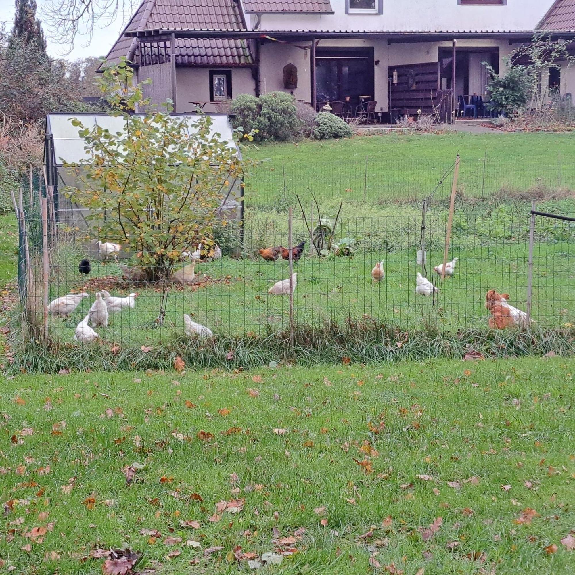 Lovely House In The Countryside By Nordhorn Buitenkant foto